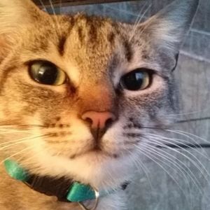 Meet your Posher, Ashlyn